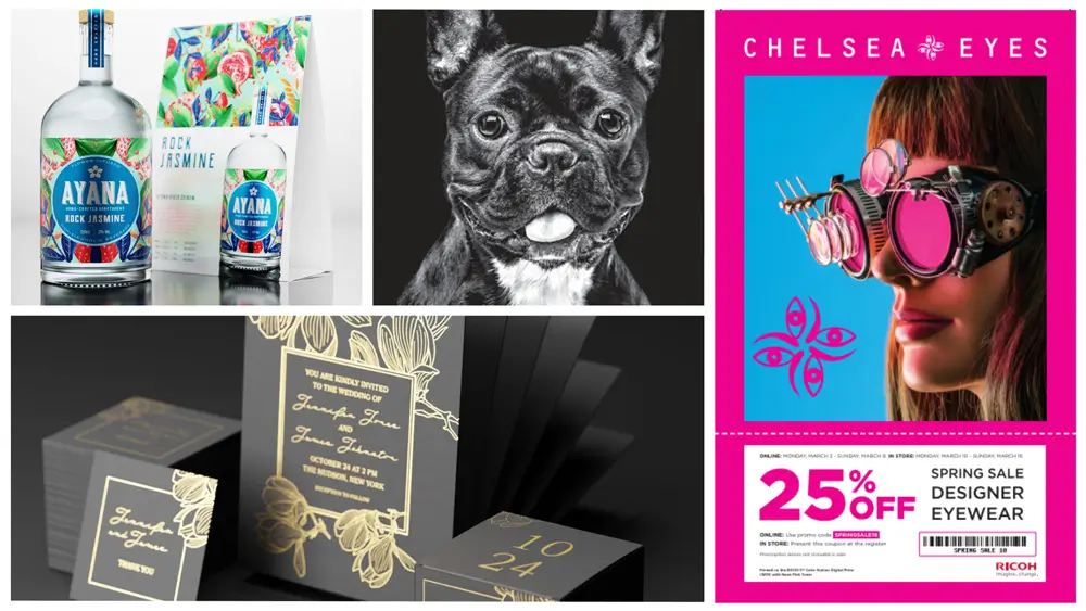 A collage of various products including a bottle of Ayana Rock Jasmine, black dog illustration, wedding invitations, and a Chelsea Eyes eyewear ad.